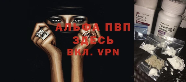 PSILOCYBIN Баксан