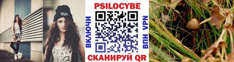 Псилоцибиновые грибы GOLDEN TEACHER  Михайловск 